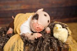 24hs Deal,Reborn Baby Piglet, Reborn Animals, Reborn Dolls