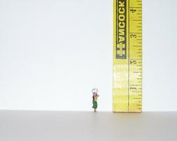 1/6 Scale Littles Retired