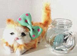 Fish Bowl & Kitten