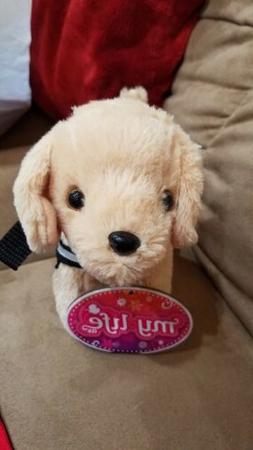 Nwt Golden Retriever